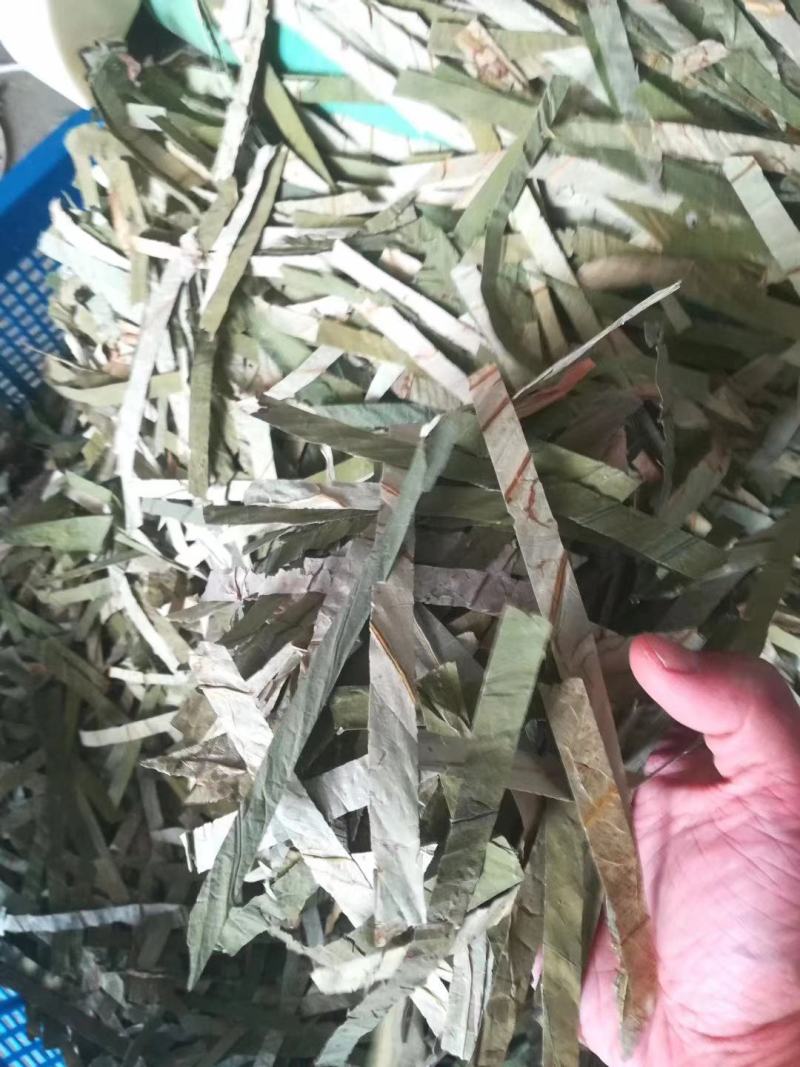 荷叶中药材荷叶丝另售整张荷叶荷叶荷叶丝够含量