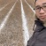小叶丁香苗当年苗二年墩四季丁香苗工程绿篱