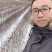 卫矛小苗桃叶卫矛苗建圃小苗二年墩绿化工程苗