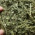 紫花苜蓿草苜蓿草颗粒苜蓿草颗粒价格优质苜蓿颗粒