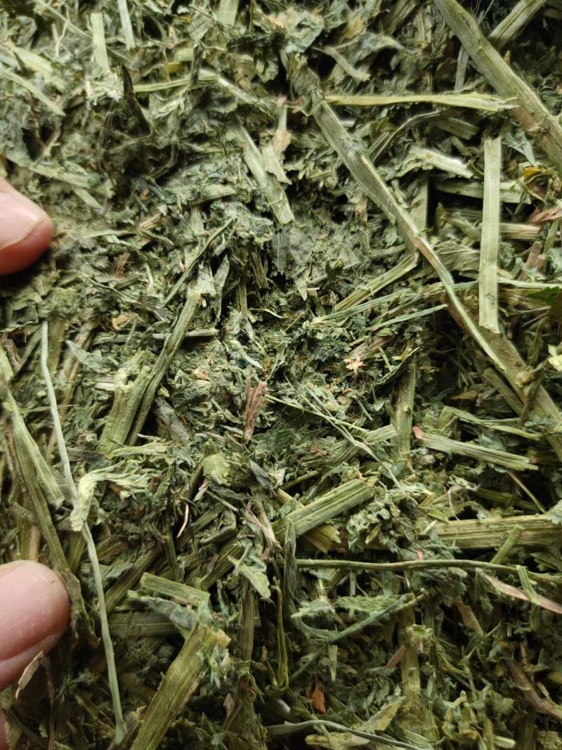 紫花苜蓿草苜蓿草颗粒苜蓿草颗粒价格优质苜蓿颗粒