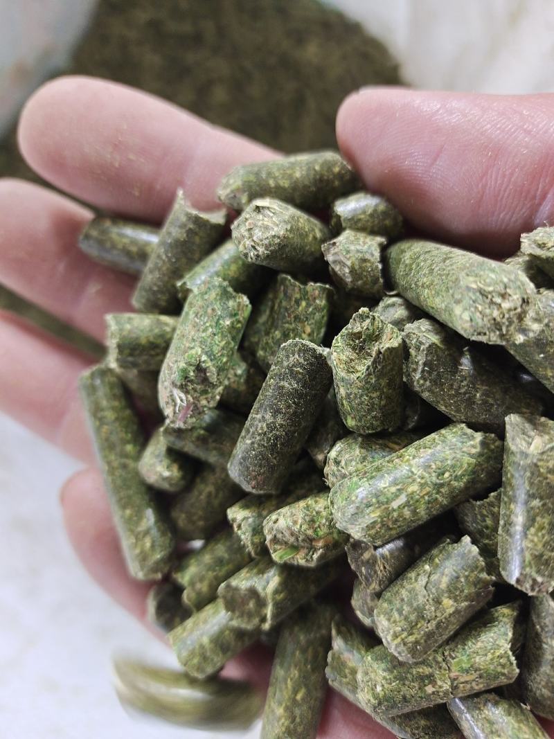 紫花苜蓿草苜蓿草颗粒苜蓿草颗粒价格优质苜蓿颗粒