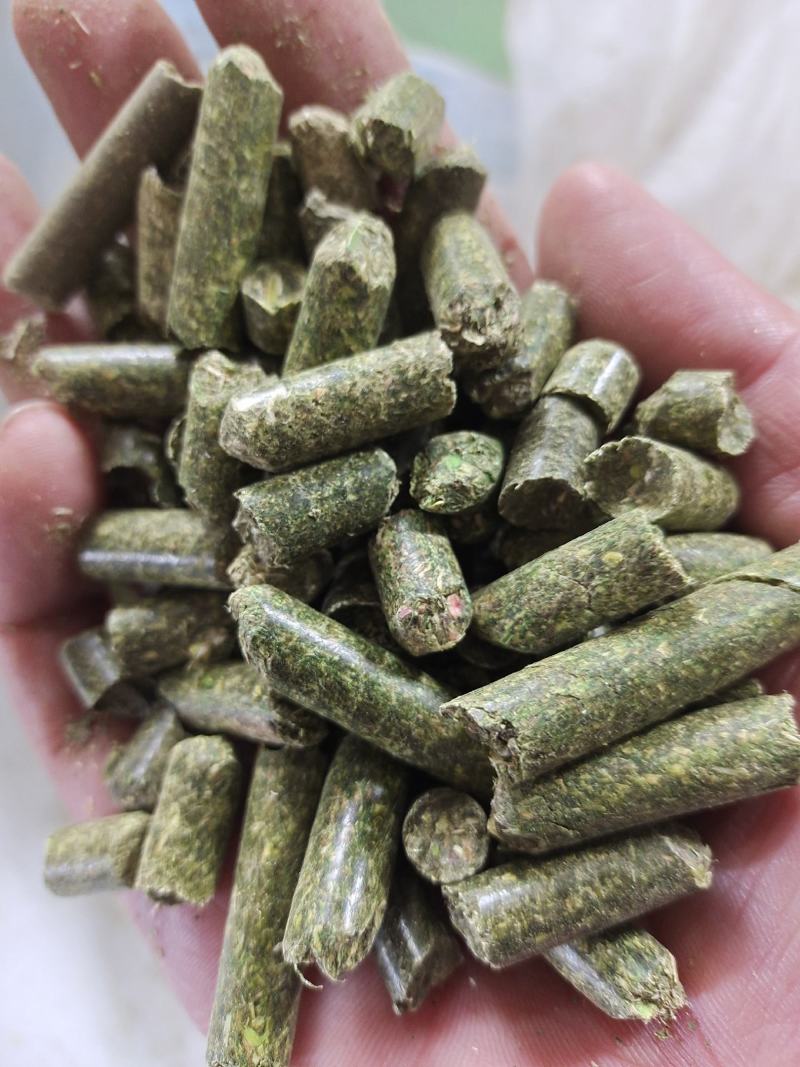 紫花苜蓿草苜蓿草颗粒苜蓿草颗粒价格优质苜蓿颗粒
