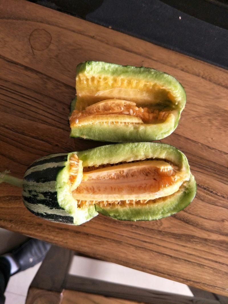 博洋甜瓜，羊角蜜甜瓜，冰糖籽