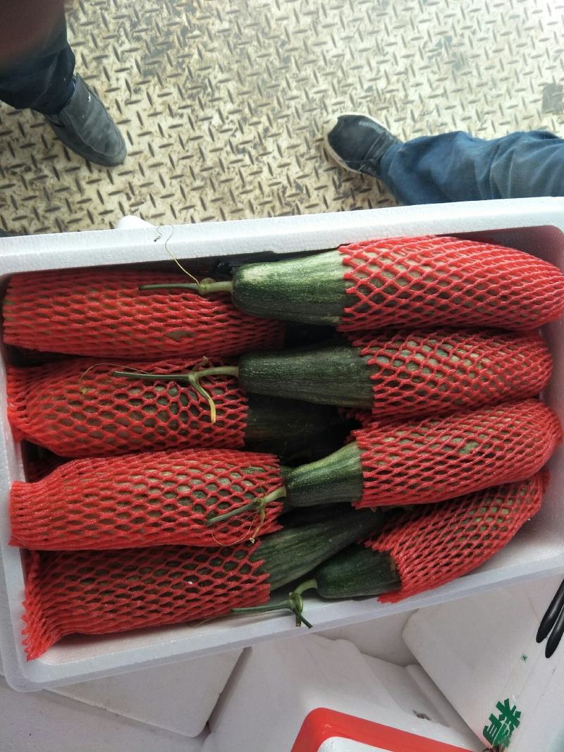 博洋甜瓜，羊角蜜甜瓜，冰糖籽