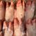 冷冻带筋猪手猪蹄短猪脚约25个猪爪20斤生鲜猪蹄蹄花汤商