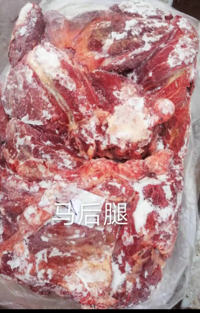 蒙古马肉，五分体精细处理检疫合格，健康美味