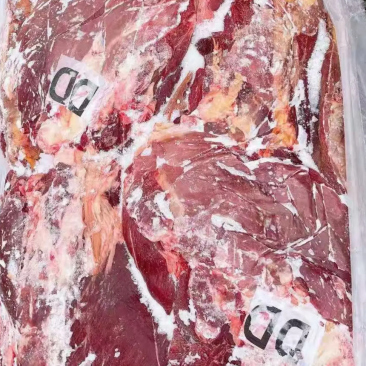 蒙古马肉，五分体精细处理检疫合格，健康美味