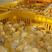 快大型三黄鸡苗，成品鸡可达9到11斤，公鸡养殖140天