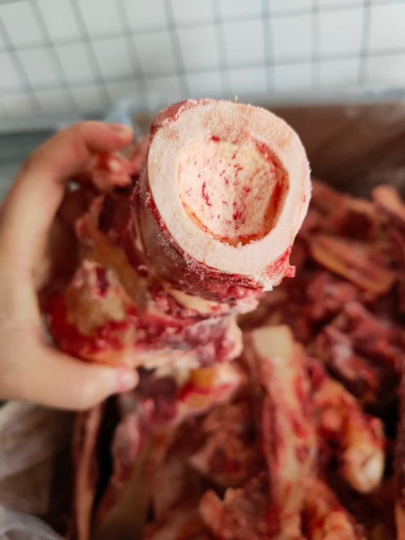 肉大牛骨头，骨髓满满《厂家直销》