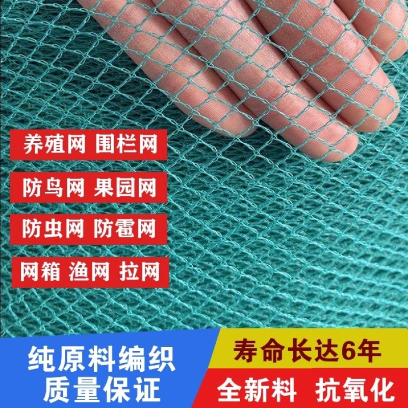 养鸡网拦鸡网围网养殖网菜园网山鸡网防鸟网天网
