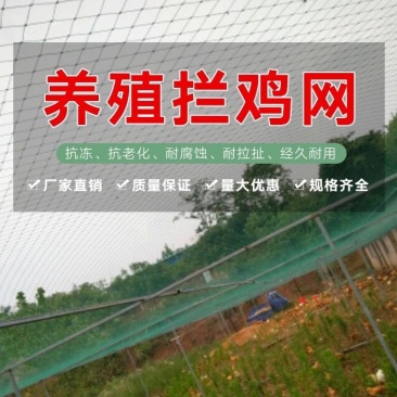 养鸡网拦鸡网围网养殖网菜园网山鸡网防鸟网天网