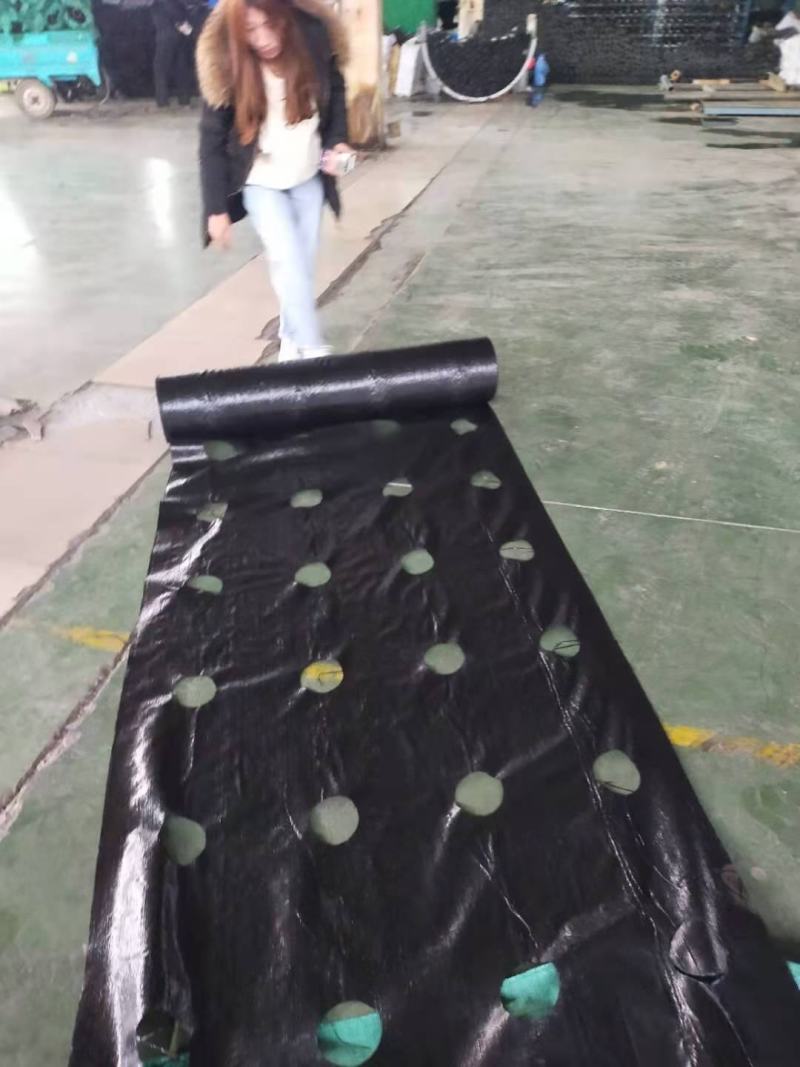 除草布盖草布厂家，抑草布，果园茶园防草布PE全新料防草布