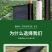 银黑双色反光地膜农用塑料薄膜黑白地膜果树蔬菜覆盖除草保温