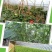 银黑双色反光地膜农用塑料薄膜黑白地膜果树蔬菜覆盖除草保温