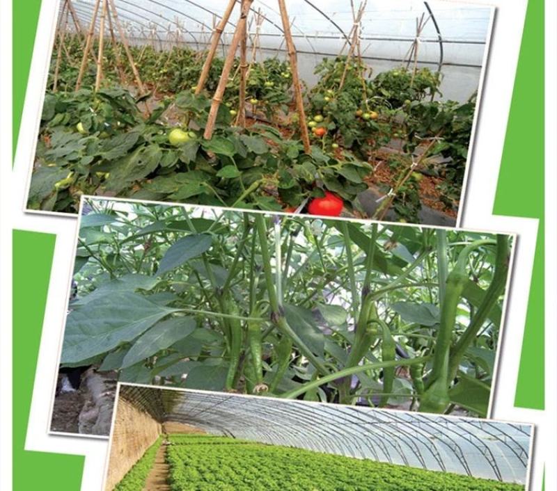 银黑双色反光地膜农用塑料薄膜黑白地膜果树蔬菜覆盖除草保温