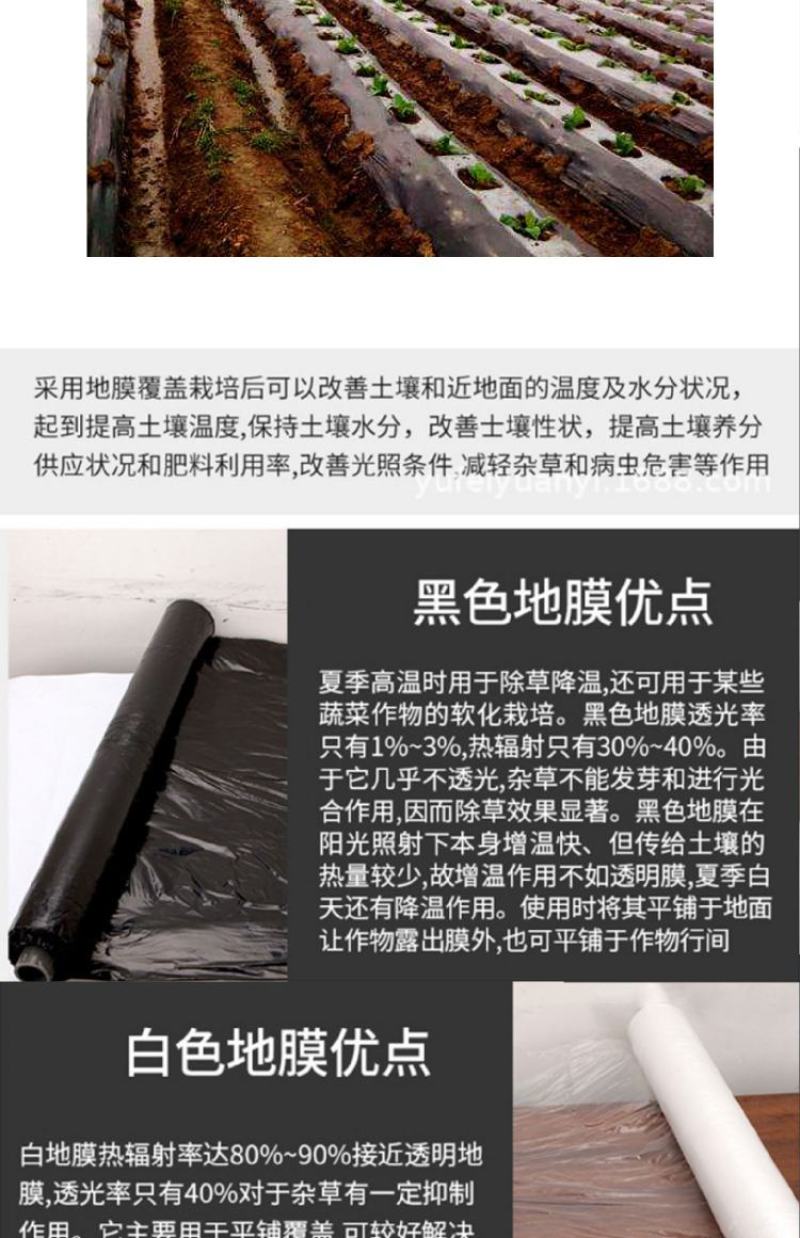 银黑双色反光地膜农用塑料薄膜黑白地膜果树蔬菜覆盖除草保温