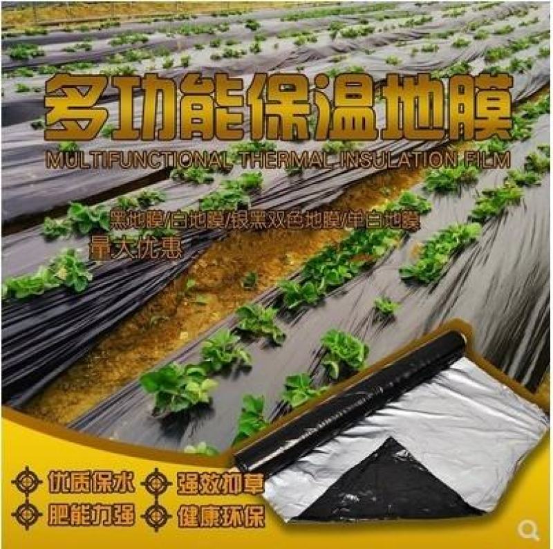 银黑双色反光地膜农用塑料薄膜黑白地膜果树蔬菜覆盖除草保温