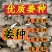 河北【368高产脱毒姜种】亩产过万，专业技术指导全国发货