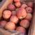 精品沂蒙山红富士苹果大量上市中规格齐全价格便宜欢迎