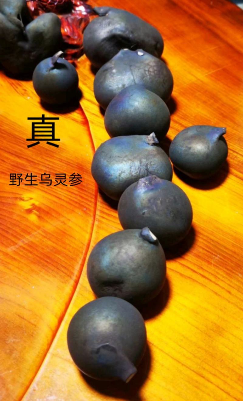 正乌灵参纯野生新货500克一斤起发足斤足两