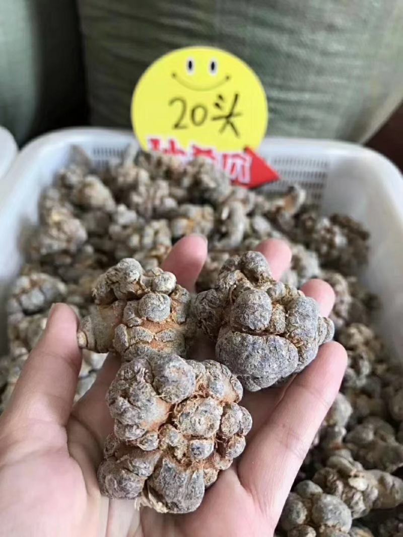 无数头三七，田七，文山三七大量有货欢迎联系