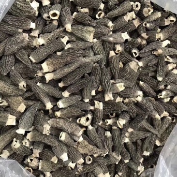 2021新鲜羊肚菌干货有量有价