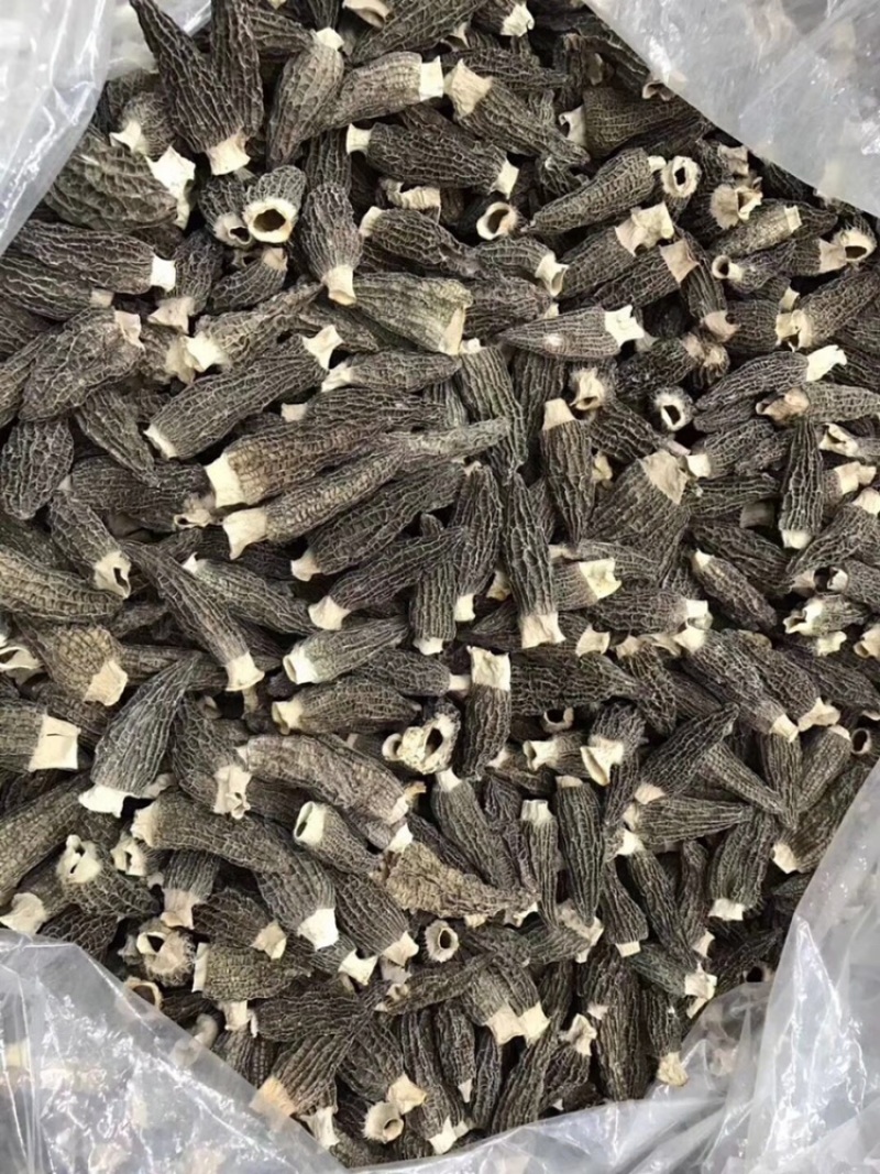 2021新鲜羊肚菌干货有量有价