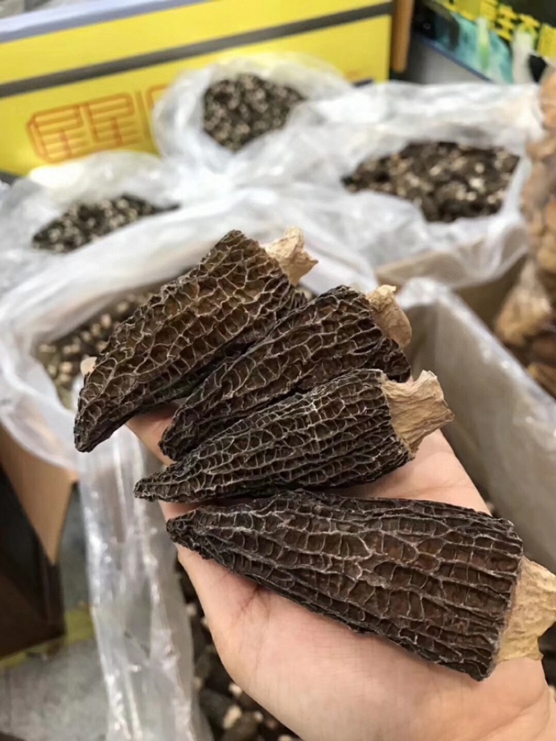 2021新鲜羊肚菌干货有量有价