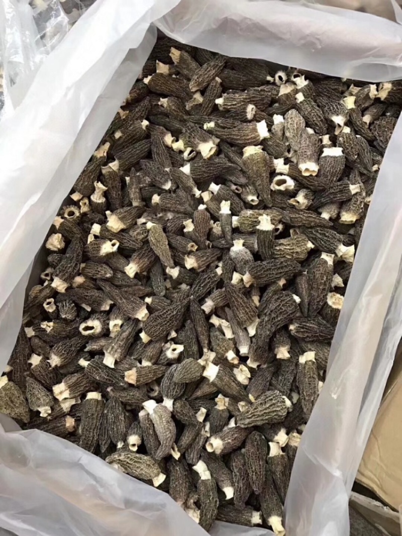 2021新鲜羊肚菌干货有量有价