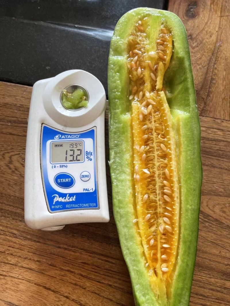 羊角蜜甜瓜山东寿光自产自销大量有货