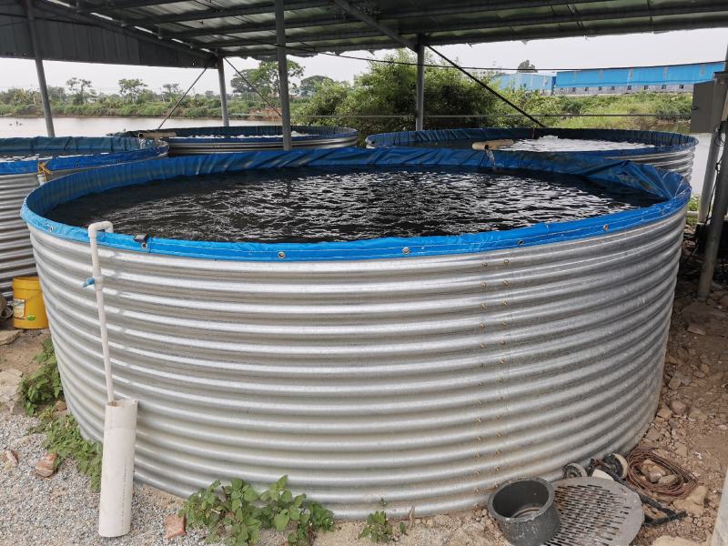 镀锌板帆布水池，无土养殖，质量可靠，便宜实用，方便管理，
