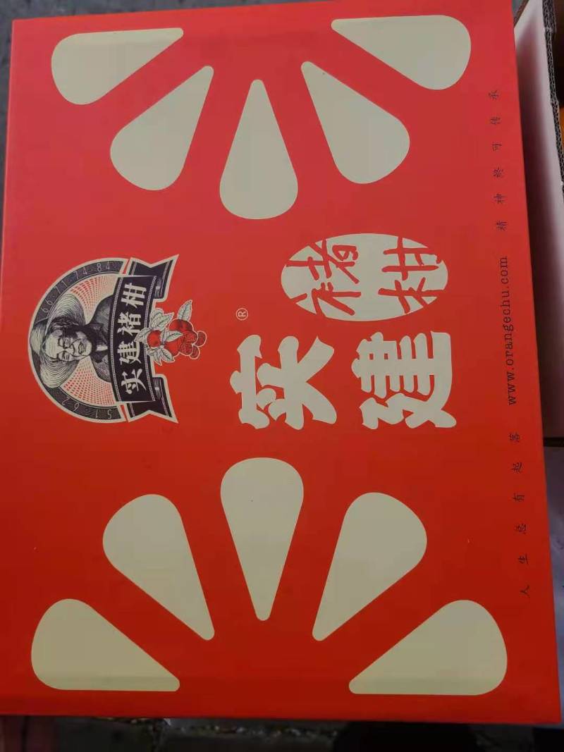 云南沃柑实建褚柑纯甜化渣沃柑高原沃柑褚时健沃柑