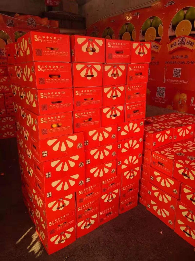 云南沃柑实建褚柑纯甜化渣沃柑高原沃柑褚时健沃柑