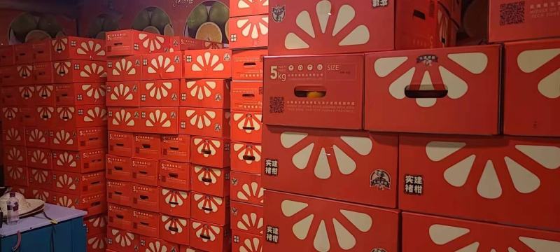 云南沃柑实建褚柑纯甜化渣沃柑高原沃柑褚时健沃柑