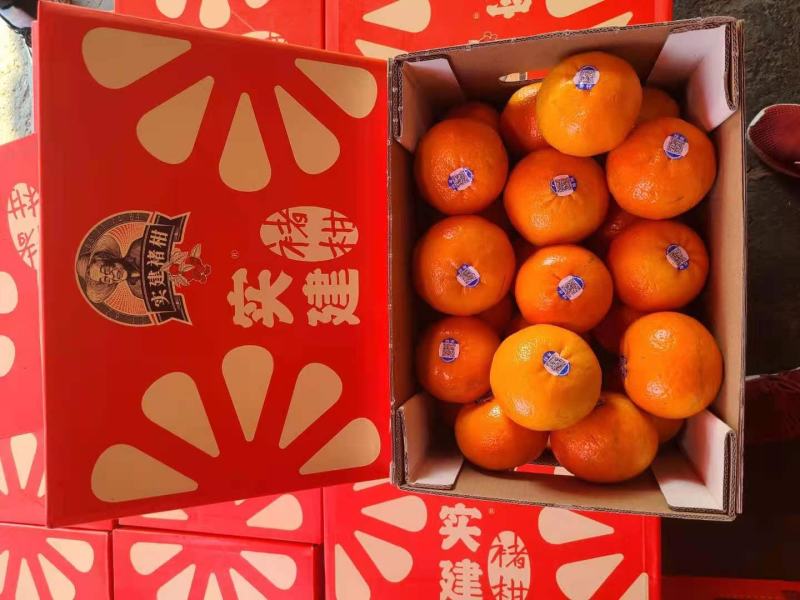 云南沃柑实建褚柑纯甜化渣沃柑高原沃柑褚时健沃柑