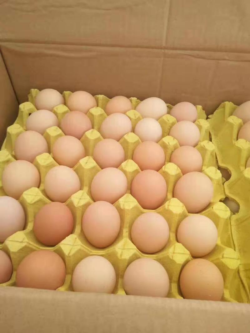 花凤土鸡蛋，双色粉壳，欢迎大家来采购农场直供