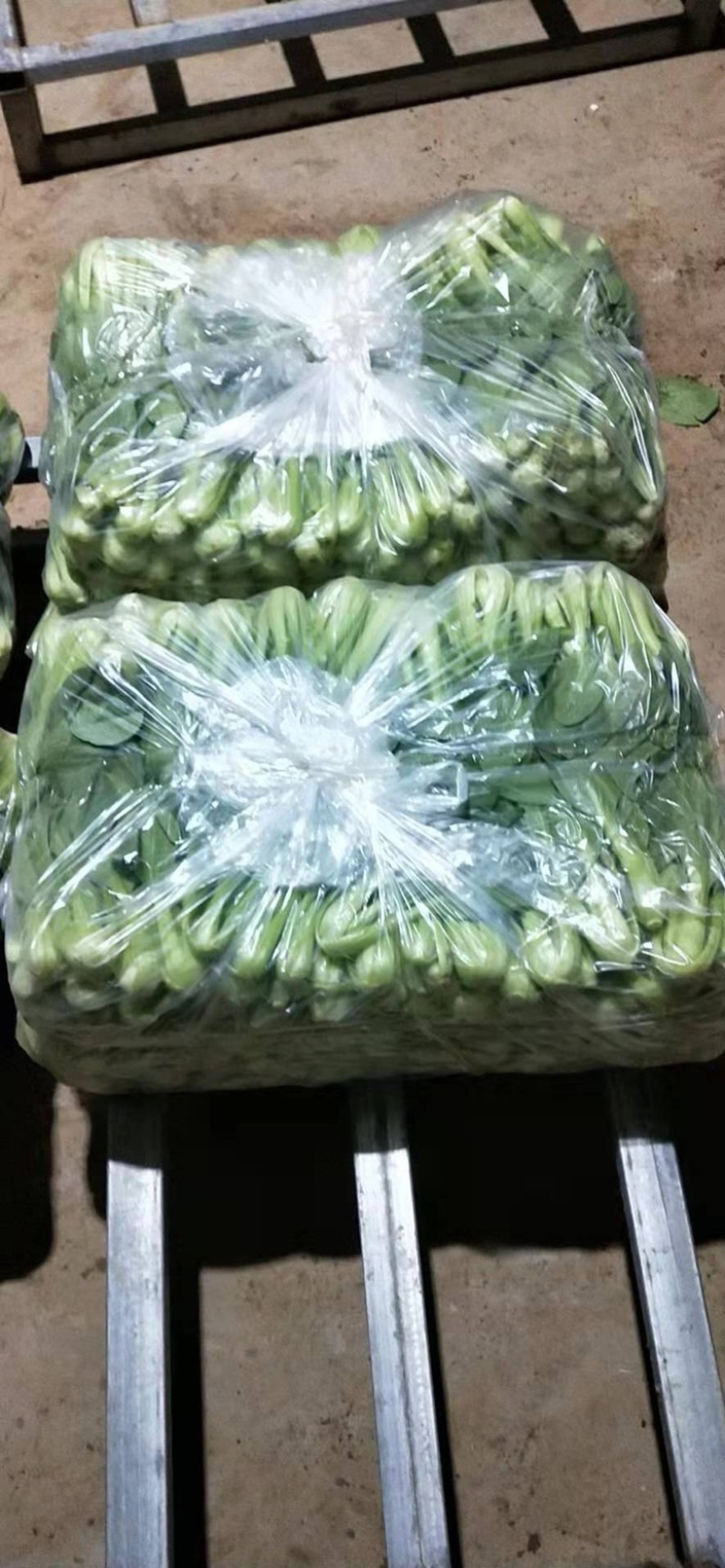 山东曹县上海青小油菜常年供应，超市，食品加工厂诚信经营，