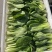 山东曹县上海青小油菜常年供应，超市，食品加工厂诚信经营，
