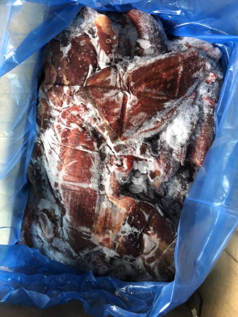 常年精营：驴肉马肉驴板肠马板肠驴肚驴蹄筋