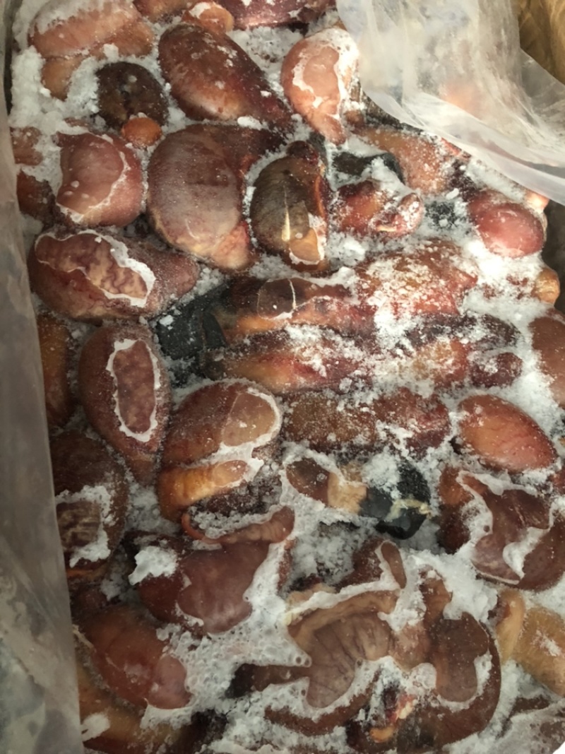 常年精营：驴肉马肉驴板肠马板肠驴肚驴蹄筋