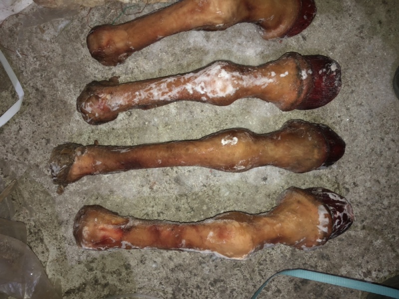 常年精营：驴肉马肉驴板肠马板肠驴肚驴蹄筋