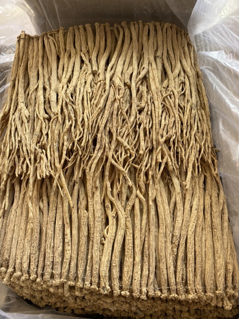 甘肃道地无硫党参条天然晾晒大量批发价格低对接全国