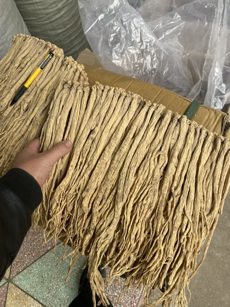 甘肃道地无硫党参条天然晾晒大量批发价格低对接全国