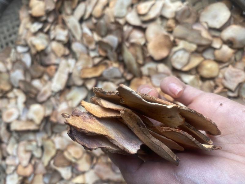 土茯苓中药材批发红土伏苓粉片干茯苓片土获苓苻苓