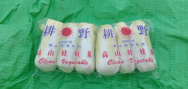 娃娃菜，精品包，高质量！！！