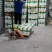 甘蓝圆包大圆包大包菜圆包菜