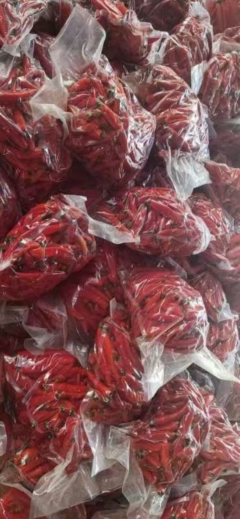 美人椒需要的联系泡椒好得很