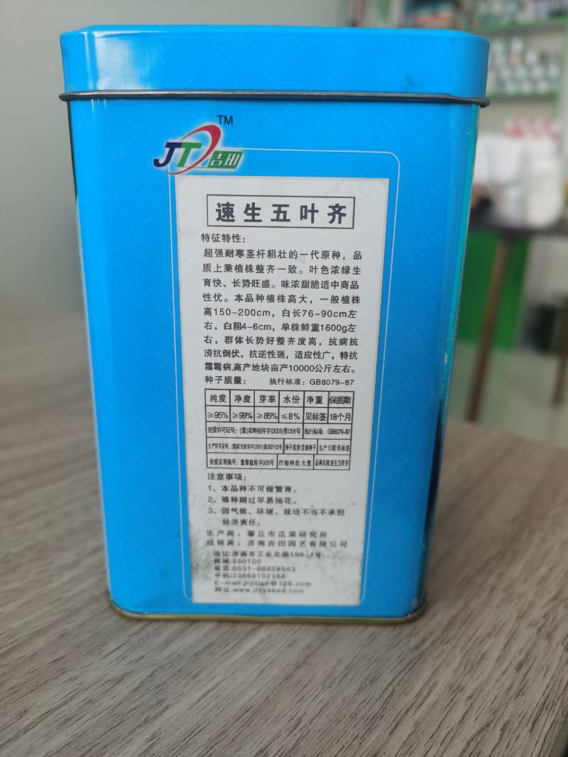 一手货源速生五叶齐大葱一代原种品质上好