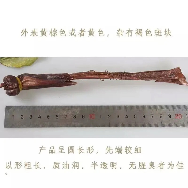 海狗鞭泡酒煲汤泡酒料男性中药材